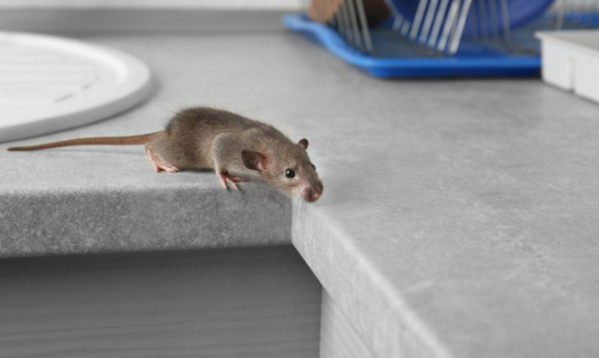Imagem grotesca de rato gerada por IA é encontrada em revista científica