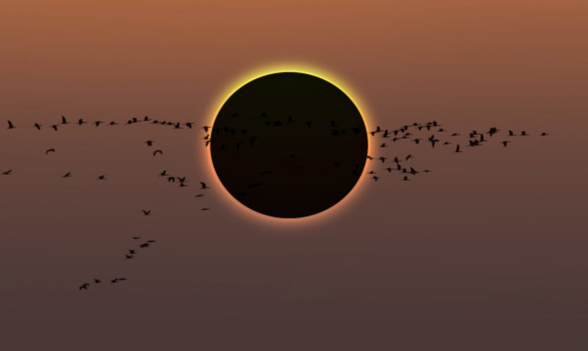 Eclipse total do sol acontece na segunda; saiba como ver pela internet